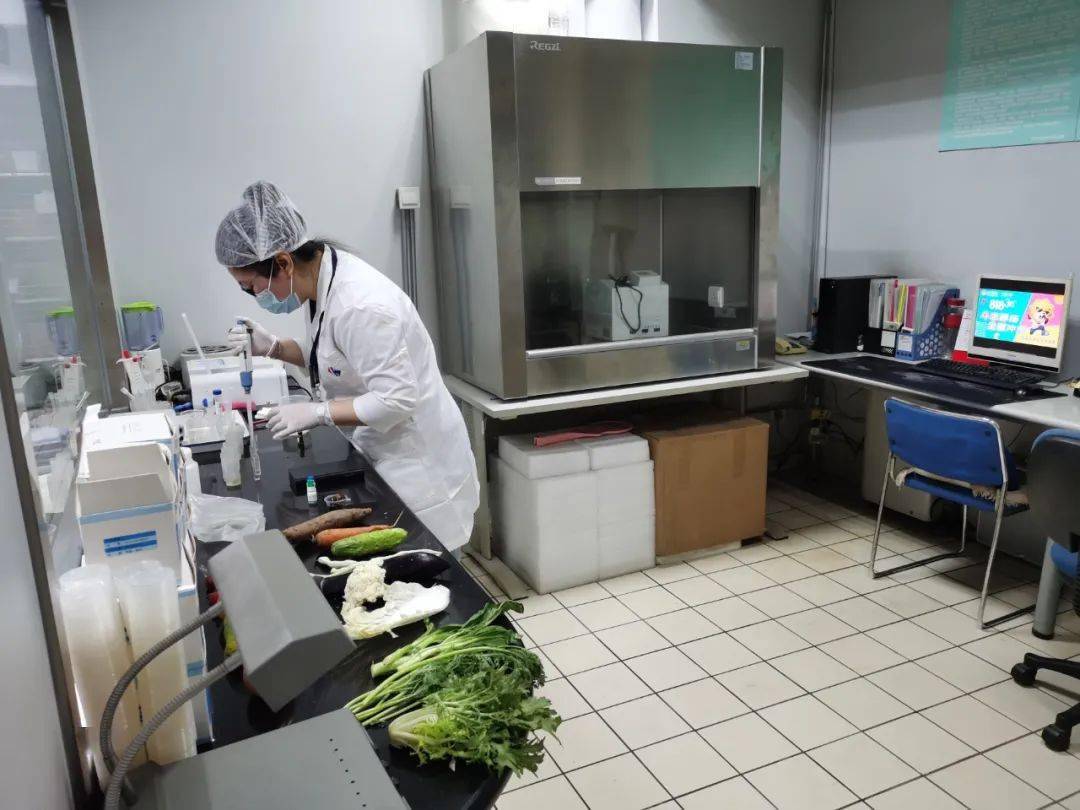 襄城食品检测实验室装修方案